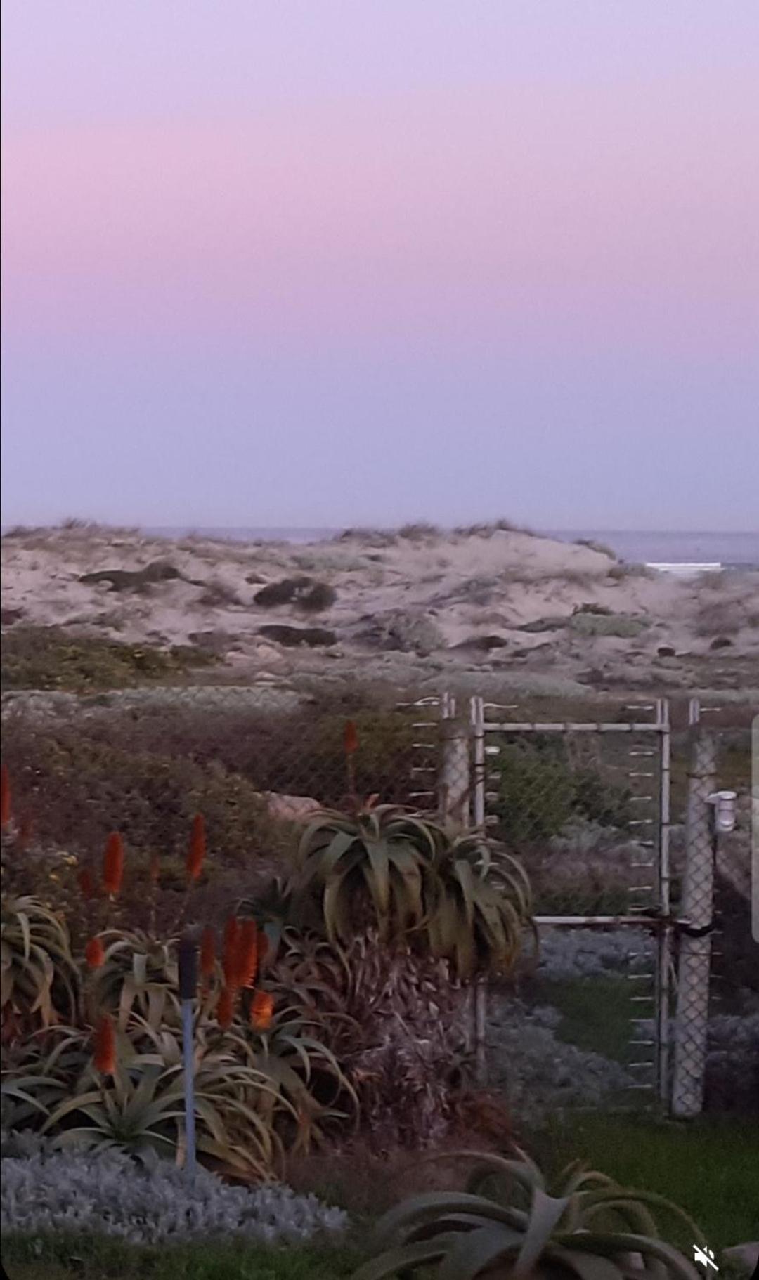 Beachmusic Cape Town Ngoại thất bức ảnh